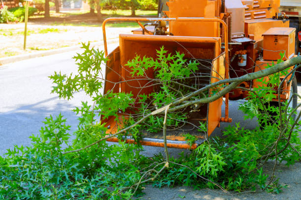 Best Lawn Mowing  in Hamilton, TX